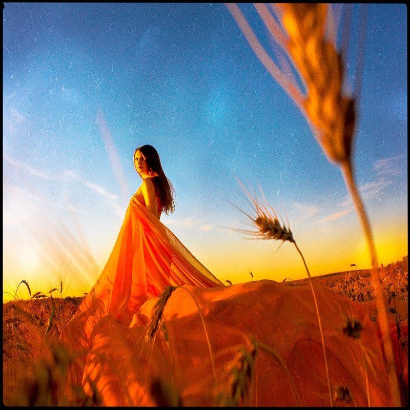 девушка, поле, рассвет, пшеница, поле ***photo preview