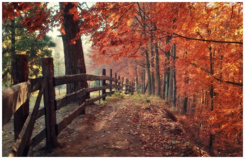 Граница для осени...photo preview