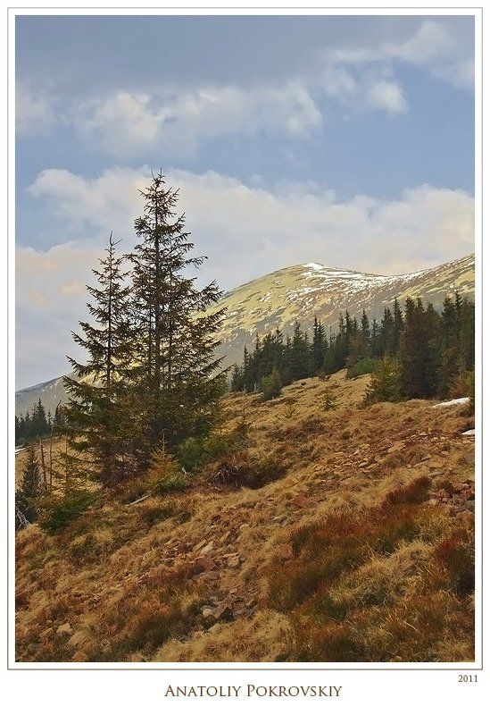 анатолий покровский, карпаты, горы, весна, горганы, сывуля Поросшие травой каменные подножия гор фото превью