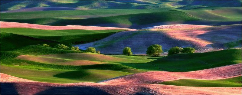 The Landscape of My Dreamsphoto preview