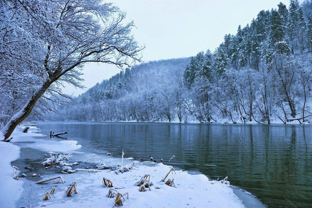 В морозной тишине. Автор: Игорь Мелекесцев , Игорь Мелекесцев