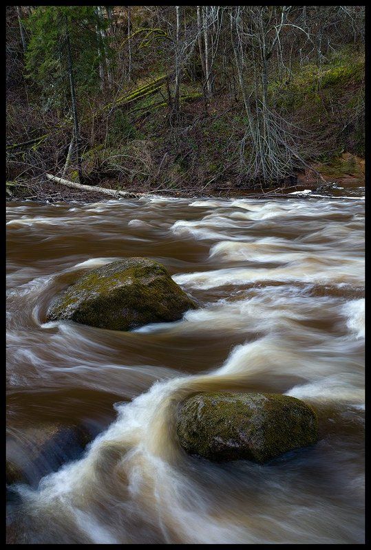 течение, пейзаж, осень Течениеphoto preview