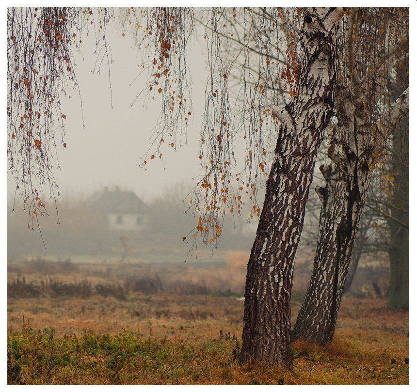 , Николай Шахманцир