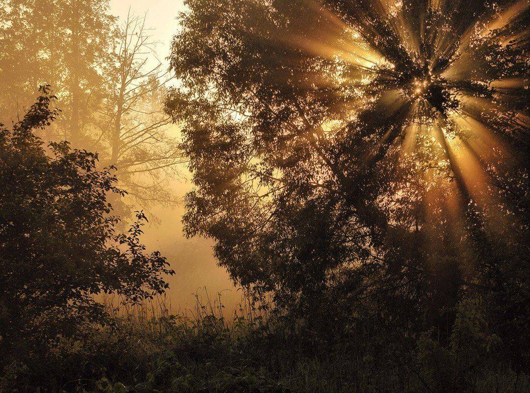 , Александр