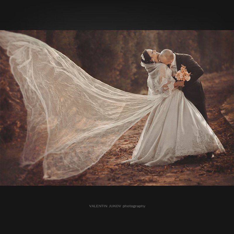 Бабочкаphoto preview