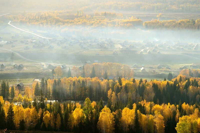 Morningphoto preview