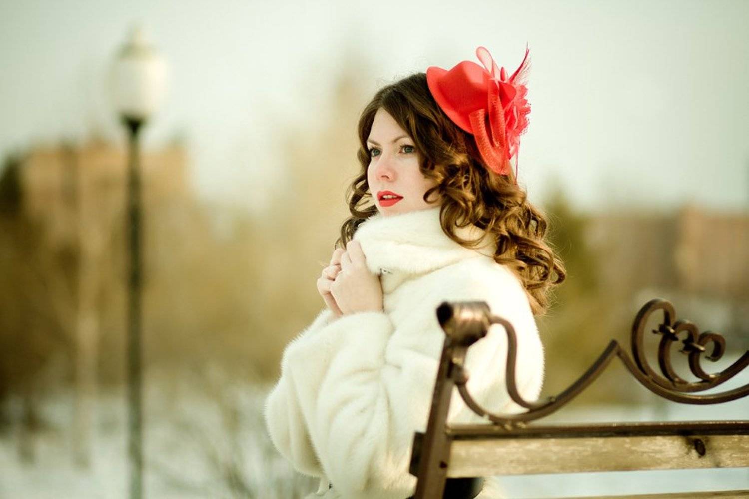 Зимняя вишня. Автор: Игорь Хумидо , Игорь Хумидо