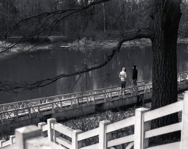 парк.люди.пруд.причал.деревья. Парочкаphoto preview