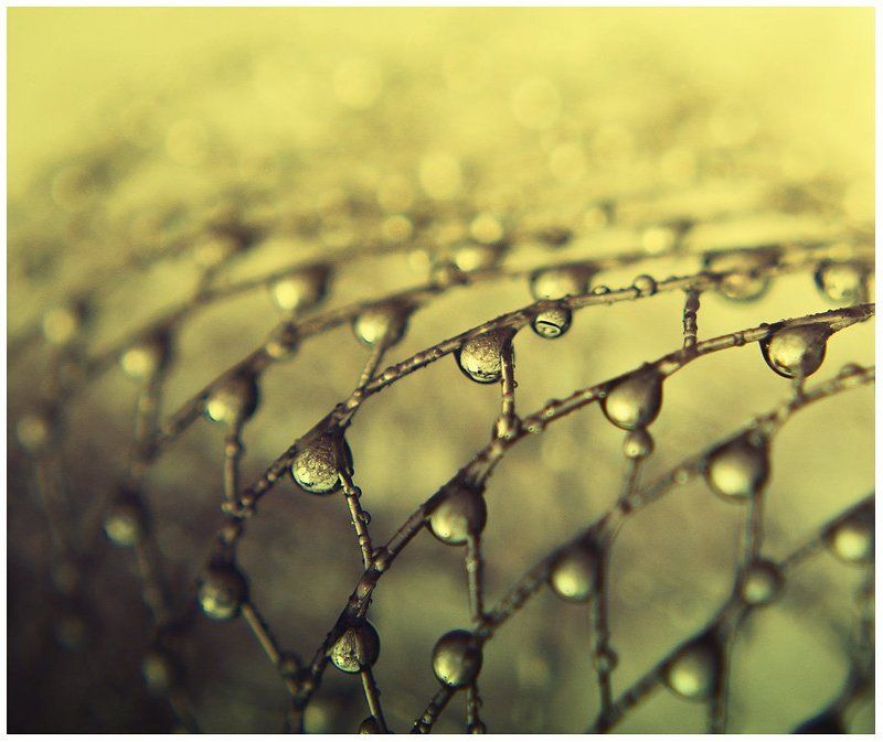 про мочалкуphoto preview