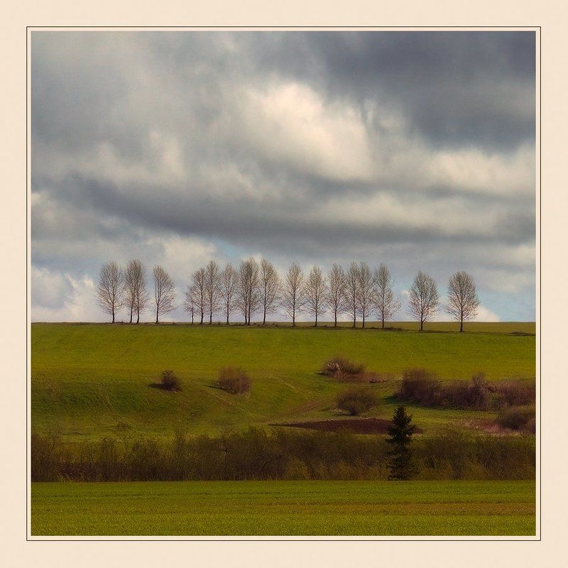 пейзаж, поля, деревья, небо, чехия on-linephoto preview