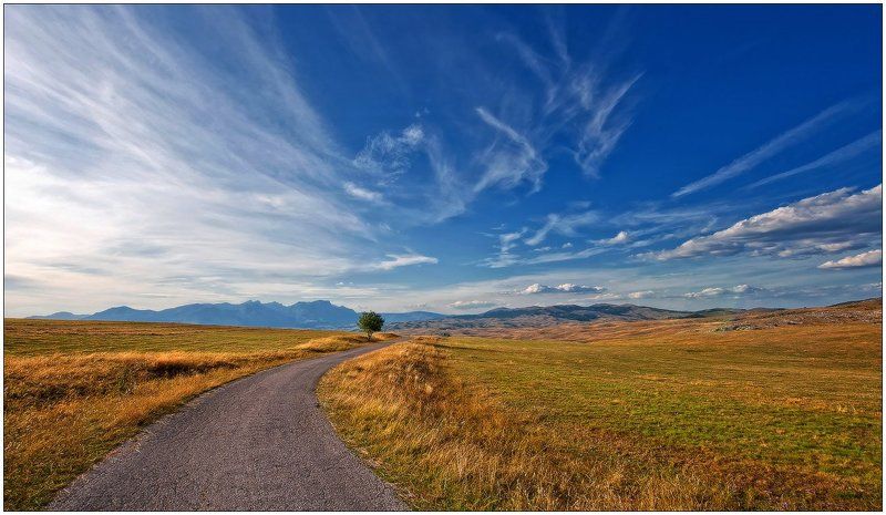 дерево,горы,долина,облака,осень,одиночество возвращение...photo preview