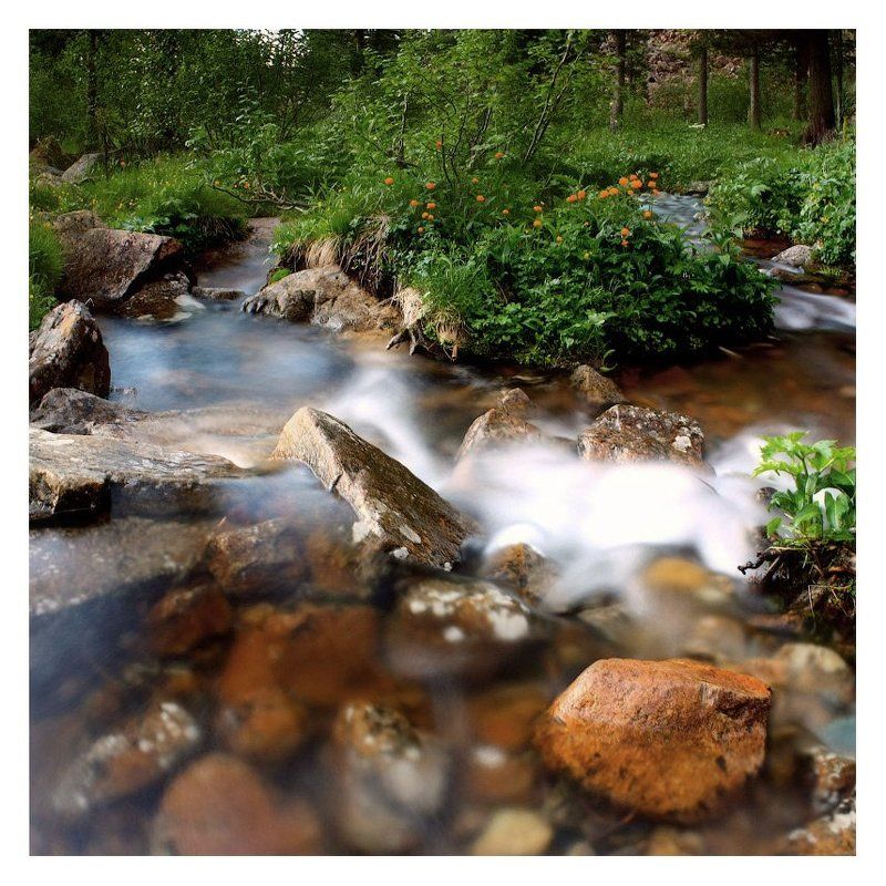 Длинная водица Борусаphoto preview