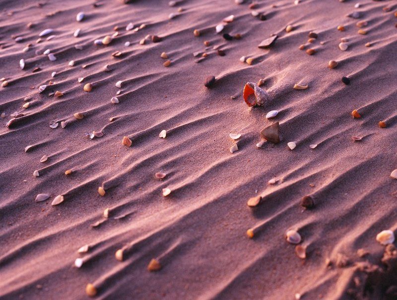 Ракушки и песокphoto preview