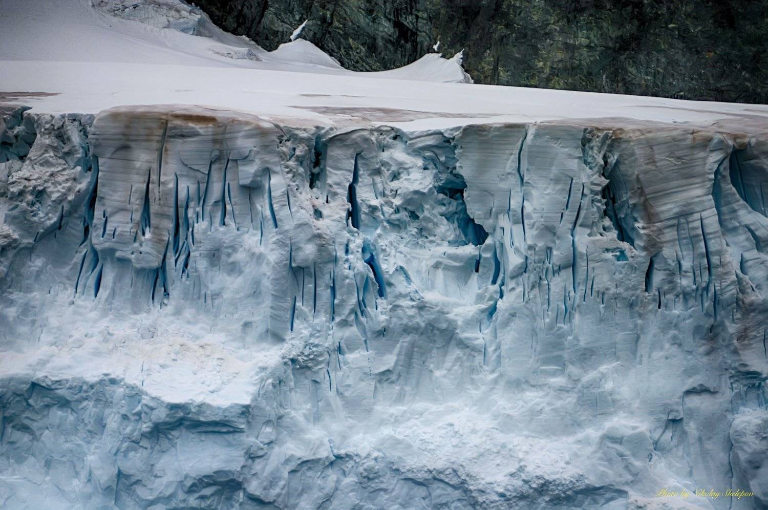 Антарктида 39. Автор: Николай Шелепов , Николай Шелепов