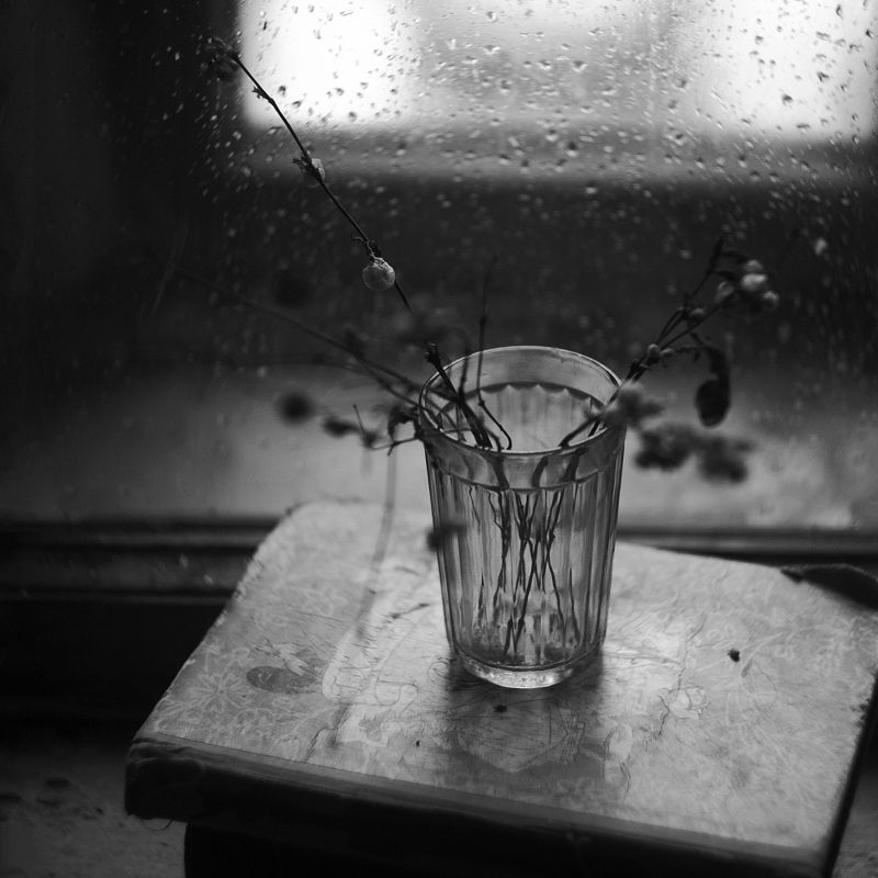 На кухнеphoto preview