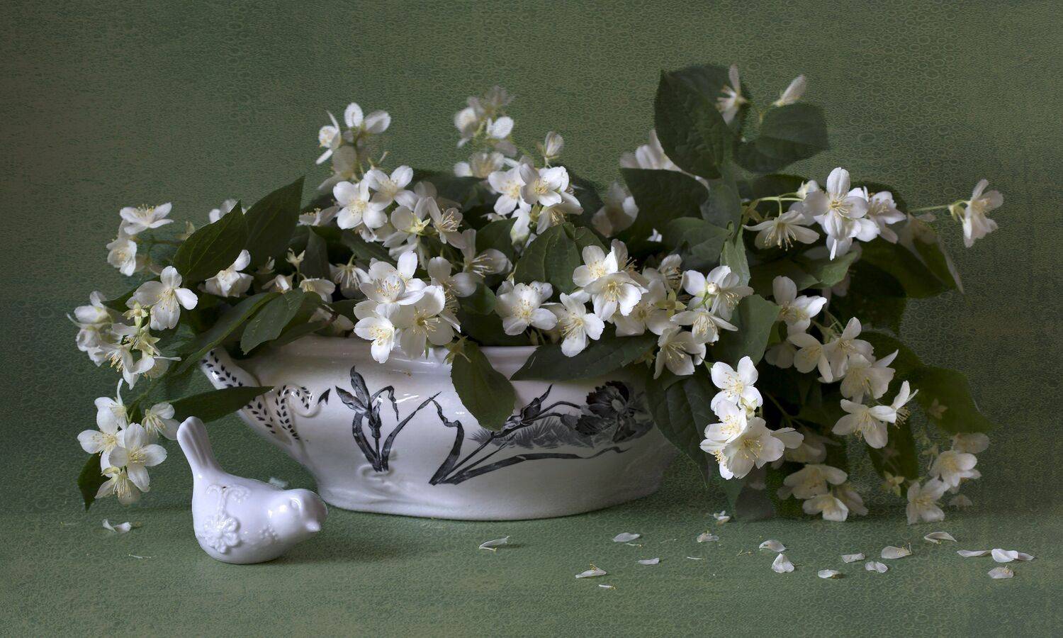 Жасмин. Автор: Марина Кулакова , Марина Кулакова