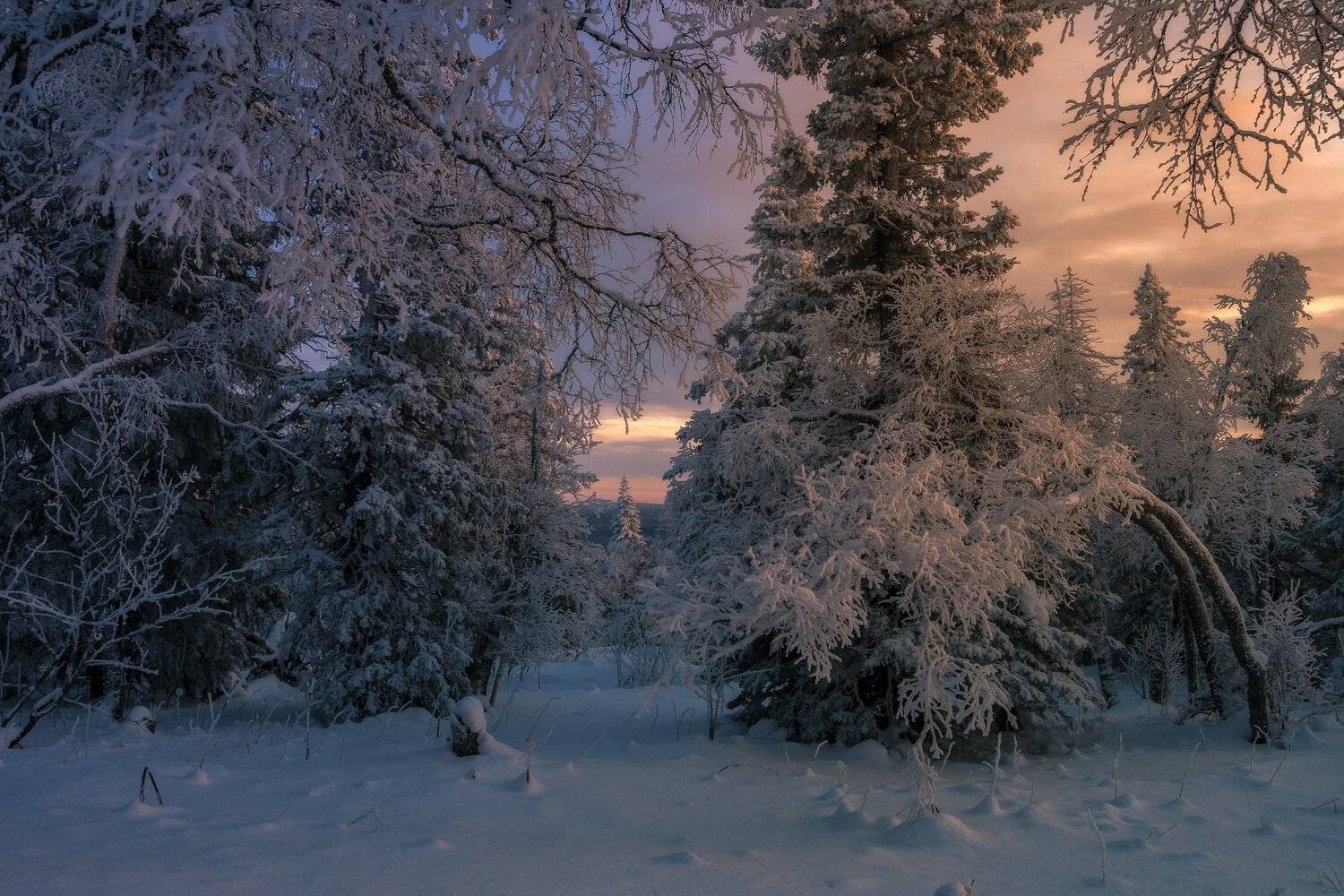 , Андрей Шарапов