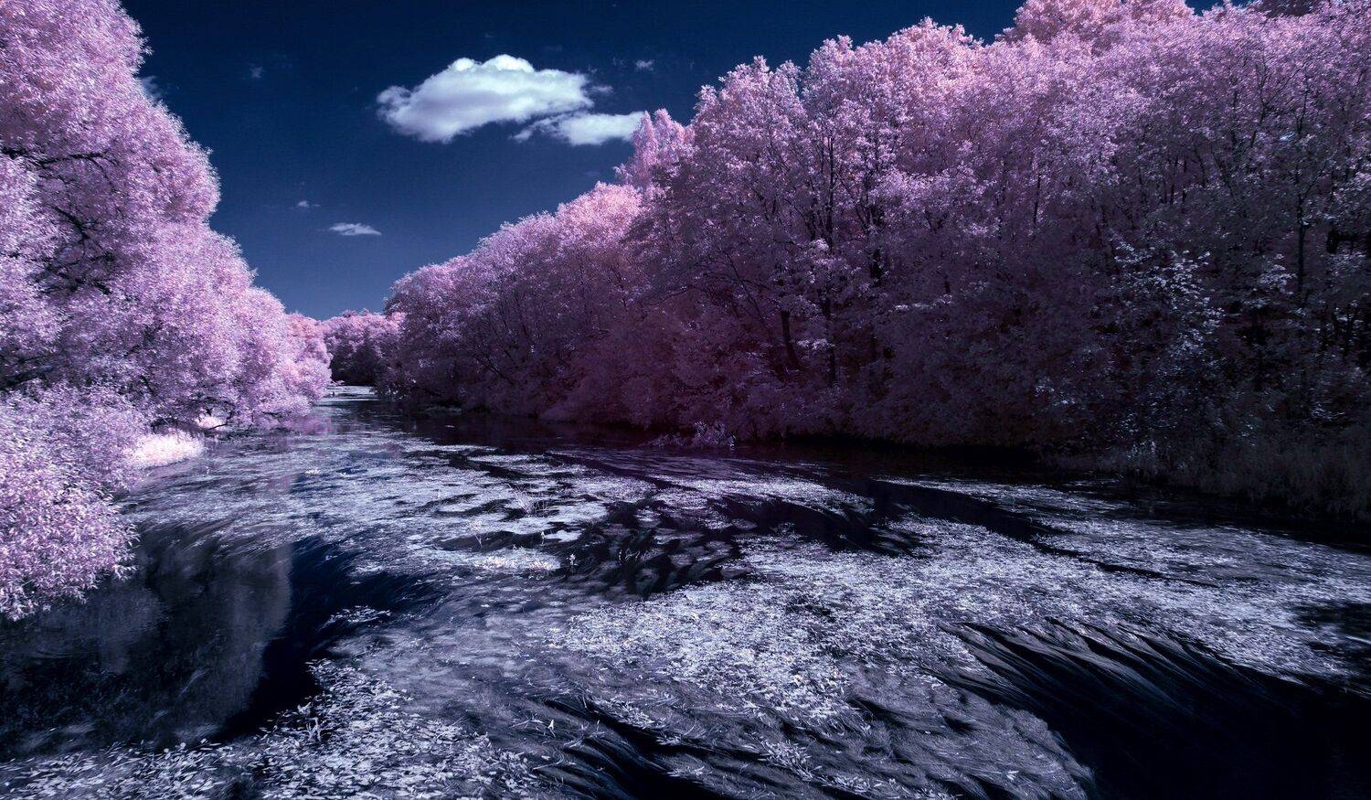 Летними речками. Инфракрасная фотография.. Автор: Sixten ( Сергей ) infrared,ик-фото,инфракрасное фото, инфракрасная фотография, пейзаж, лето, беларусь, Sixten ( Сергей )