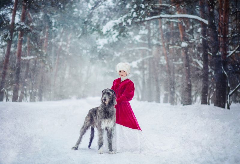зима, самовар, рыженькая, лошадь, снег, мороз, сказка, собака, собаки, ирландец, ирландскийволкодав ***photo preview