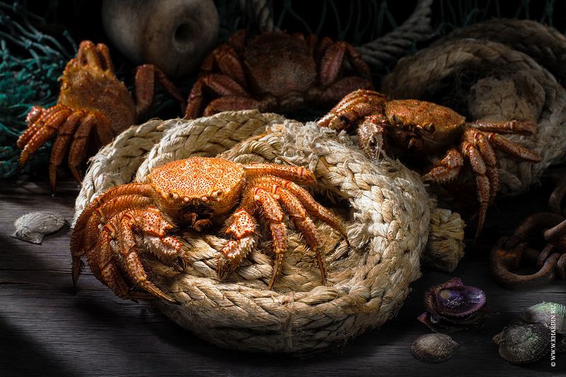 rustic, food, crab CRAB фото превью