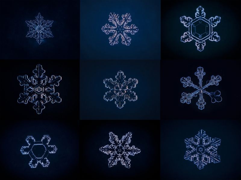 Цвет настроения  - зимний!photo preview