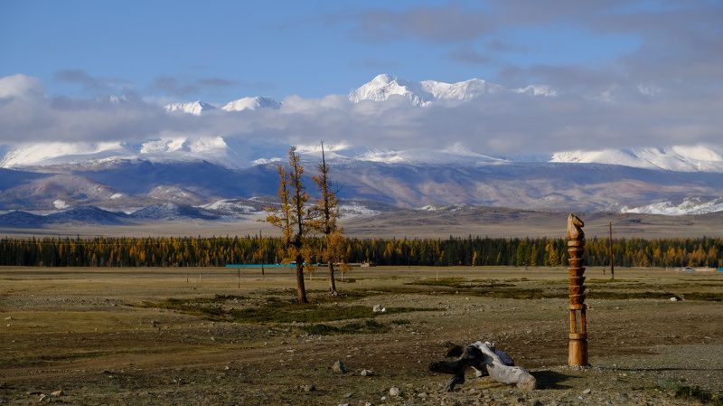 В Курайской степиphoto preview