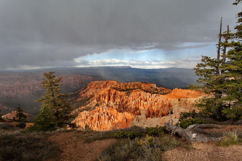 bryce canyon national park, utah, umited states Снежный шторм в Брайс-каньоне, Юта, СШАphoto preview