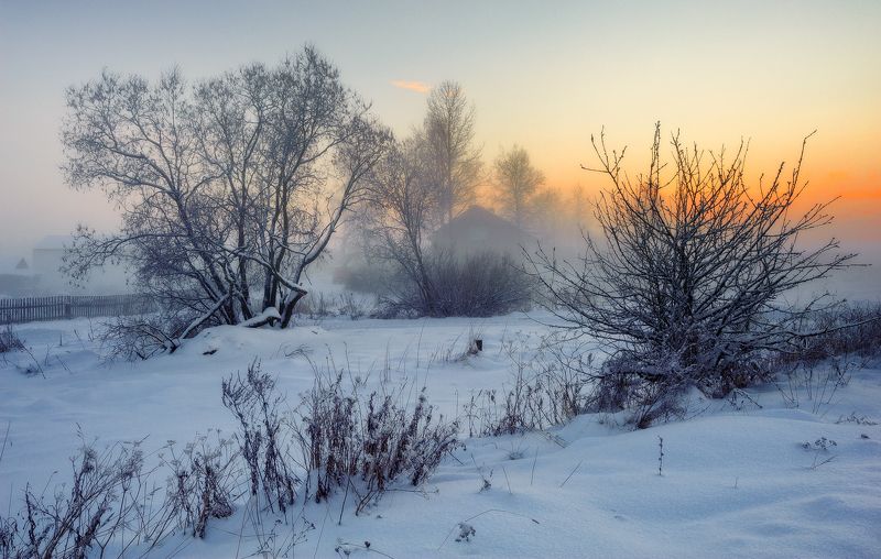 зима,вечер,туман,сумерки,снег,пейзаж В вечернем тумане фото превью