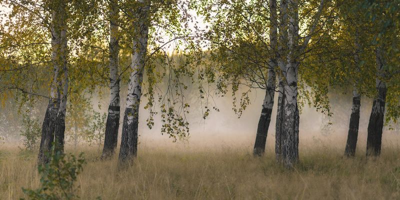 Тихое осеннее утроphoto preview