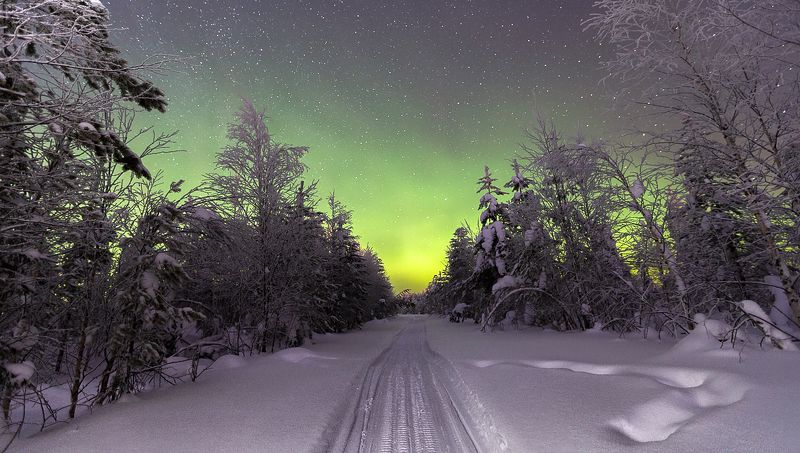 северное сияние,полярное сияние,сс,коми,природа,север,northern lights, polar lights, ss, komi, nature, north Краски севера фото превью