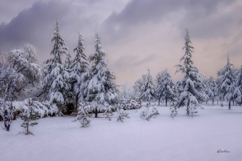 winter-2photo preview