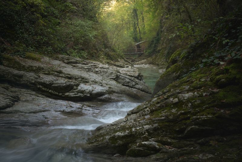 краснодарский край, индюк, бешенка, букепка, таштай, каньон, река, южный лес, лес В лесах Краснодарского краяphoto preview