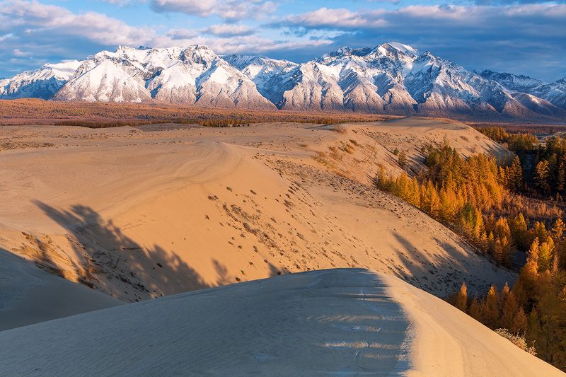 забайкалье, чарские, пески, кодарский, хребет, осень, горы, лиственница О ТАЙГЕ ГОРАХ И ПУСТЫНЕ.photo preview