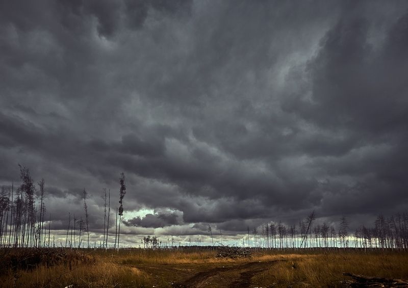 Хмуроphoto preview