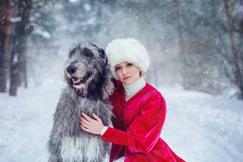 зима, самовар, рыженькая, лошадь, снег, мороз, сказка, собака, собаки, ирландец, ирландскийволкодав Зимние сказкиphoto preview