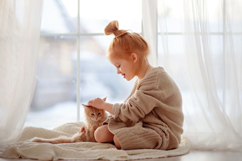 Рыжикиphoto preview