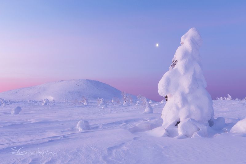 Северный Урал, Урал, ГУХ, Главный уральский хребет Северный Урал. Утро. photo preview