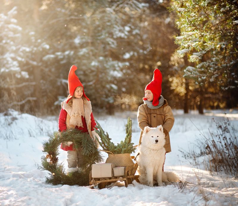 дети, гномики Гномики Санта Клаусаphoto preview