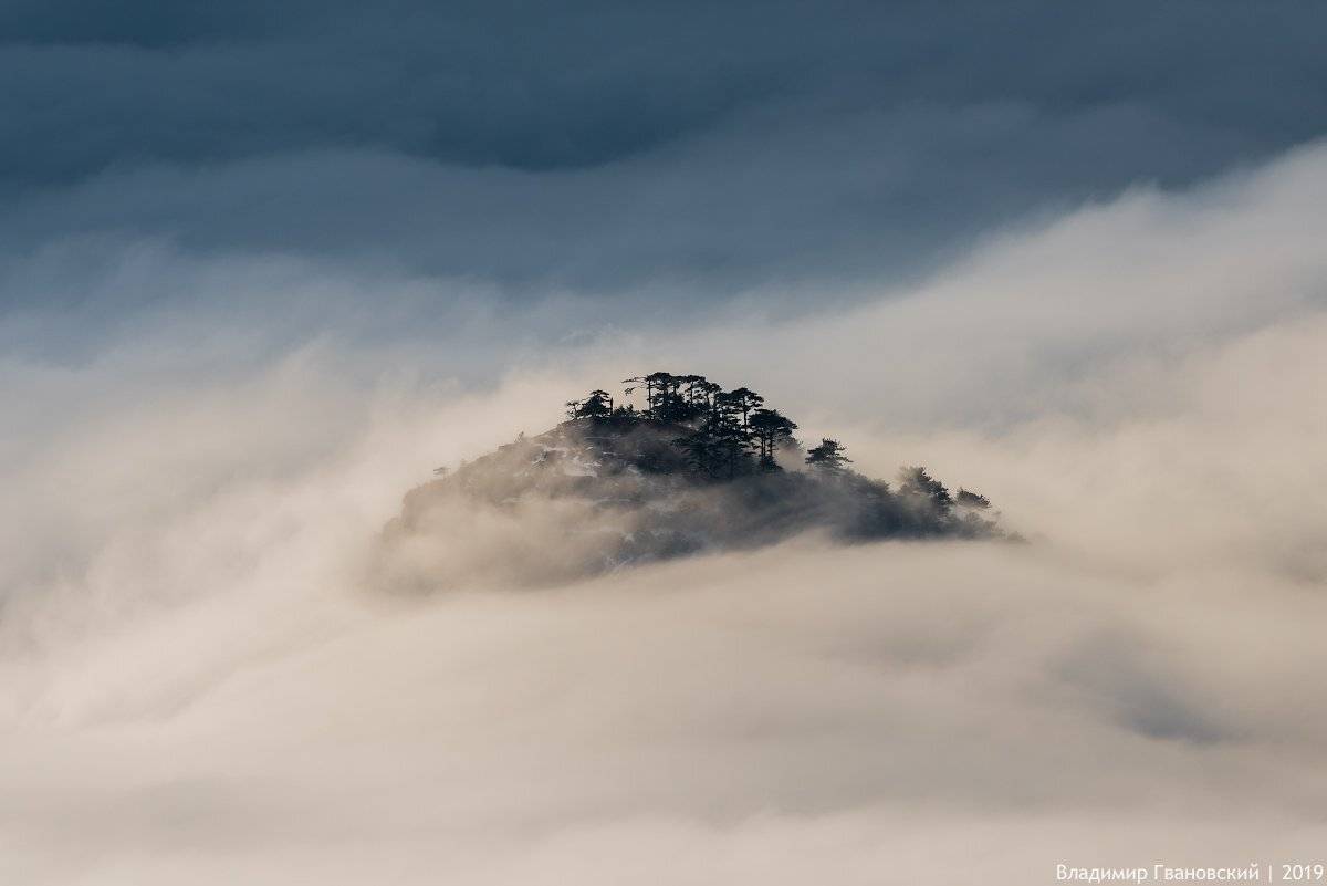 , Гвановский Владимир