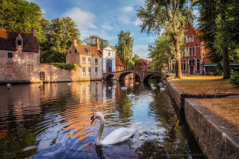 бельгия, брюгге, озеро, лебедь, bruges, brügge, Брюгге. Озеро любвиphoto preview