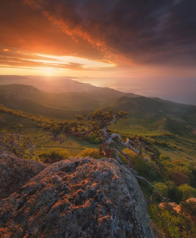 крым, южная демерджи, демерджи Way Of Lightphoto preview