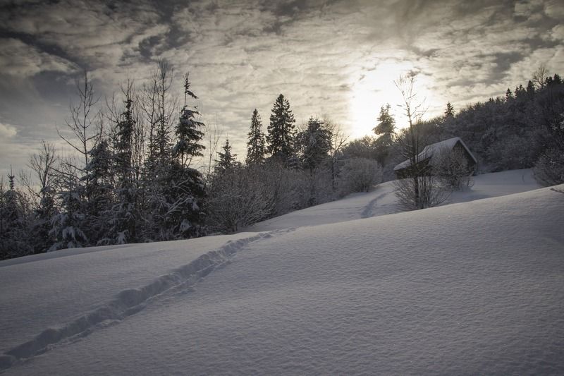 вечер, снег, зима, закат, облака ***photo preview