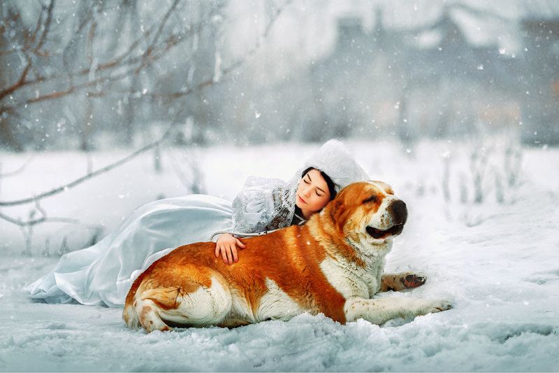 art  fabulous  winter fairy tale  girl and dog  white  red  ferudush  snow  winter  fantasy ***photo preview