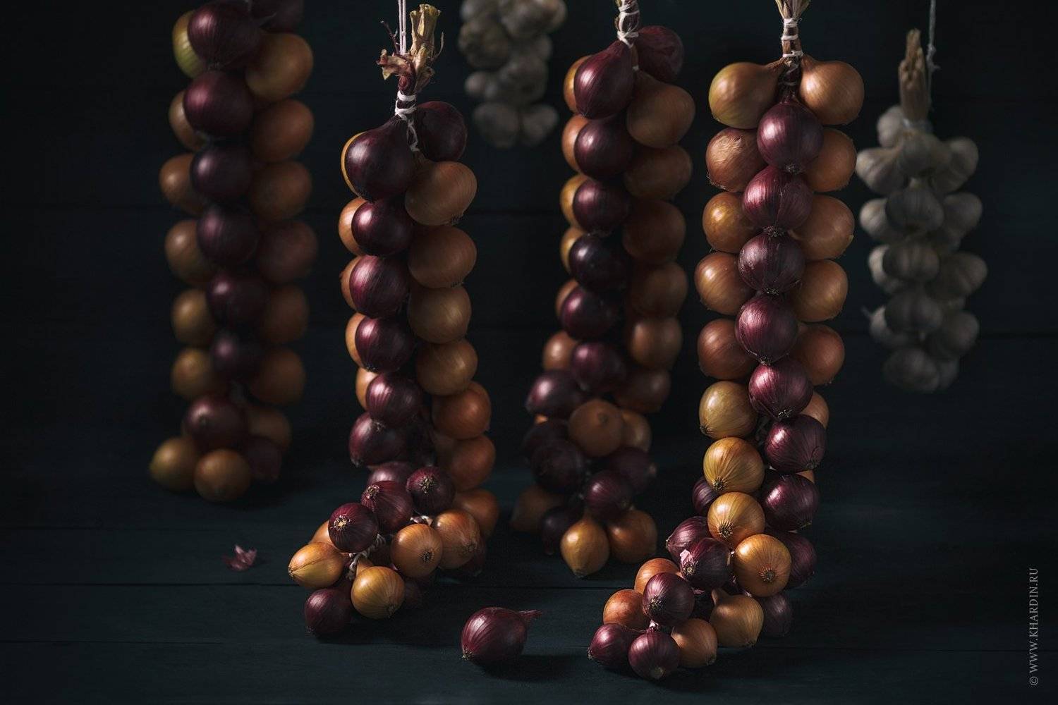 rustic, onion, dark, food, Alexander Khardin
