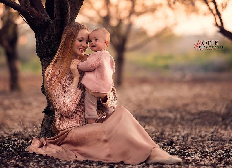 Harmonyphoto preview