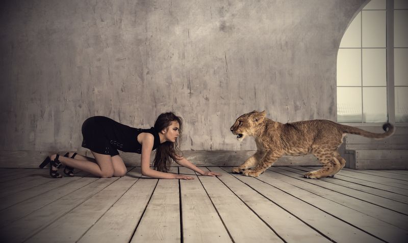 портрет, девушка, модель, студия, fashion, portrait, model, girl, photomodel, studio, lion, львёнок, лев Кто испугается первый ?photo preview