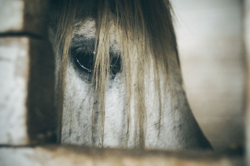 Где ты,душа моя....photo preview