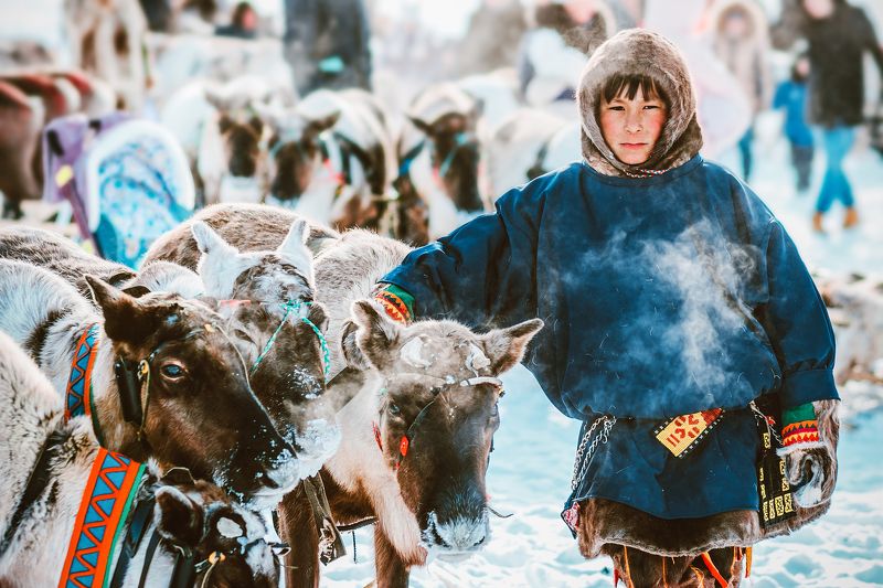 ямал ,салехард ,ненцы ,ямал, янао ,народы россии ,природа, полярный урал, народы севера « Вечный странник» фото превью