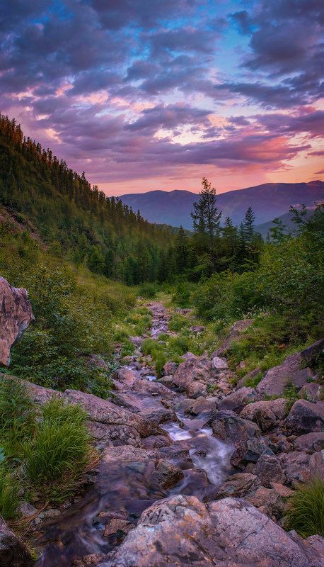 хакасия,вечер,закат,ручей,горы,борус,поход Вечер у звонкого ручья.photo preview