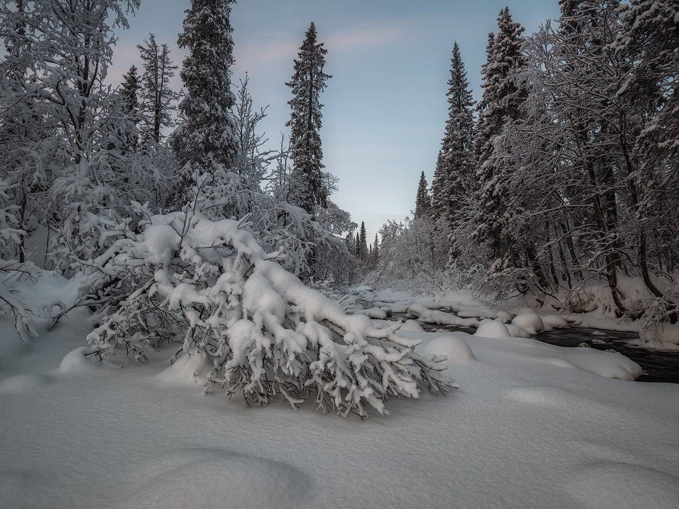 умболка, север, кольский, январь, хибины, мороз, изморозь,, Роман Горячий
